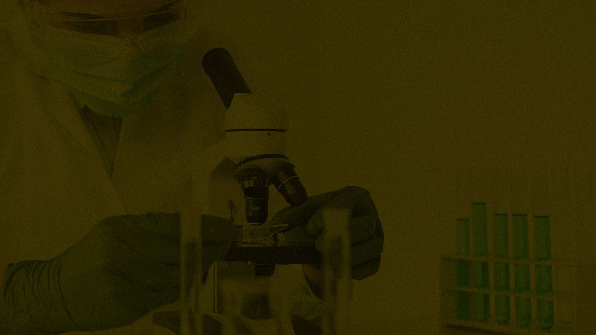 Compliance and Transparency